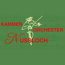 (c) Kammerorchester-nussloch.de